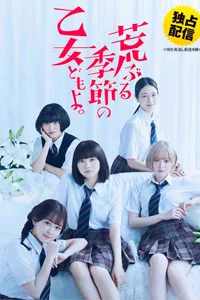 Сезон беспокойных дев